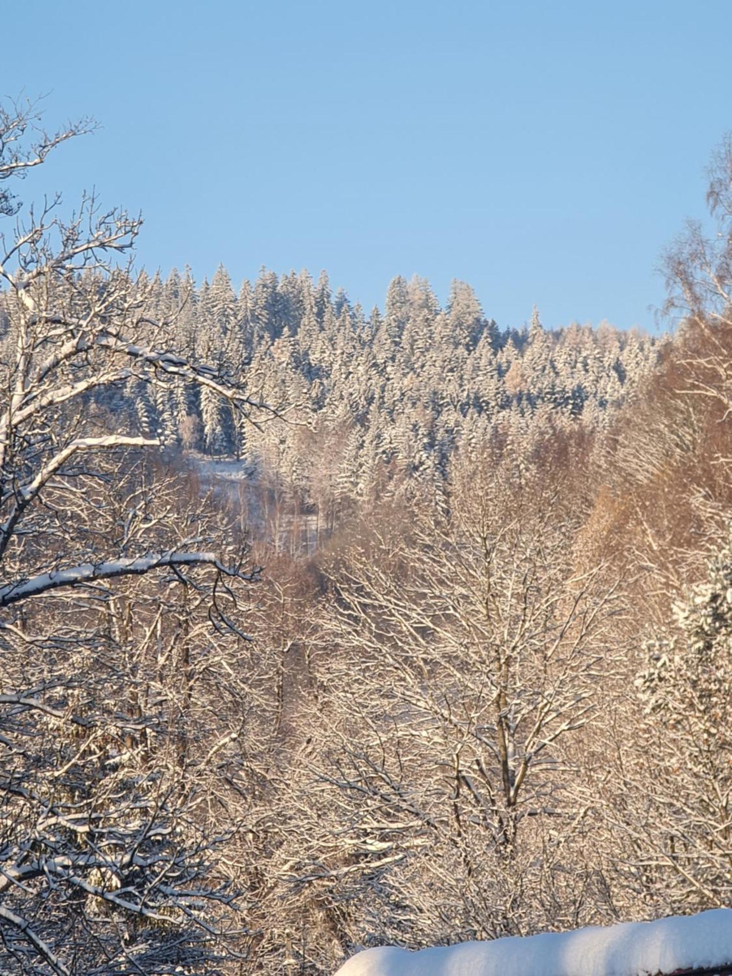 Sieraton Pokoje I Apartament Stronie Śląskie Extérieur photo